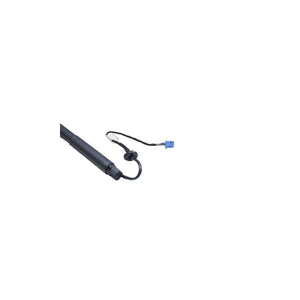 Amortizor portbagaj electric Asam Automotive 100173