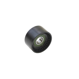 Rola ghidare curea transmisie Asam Automotive 101271