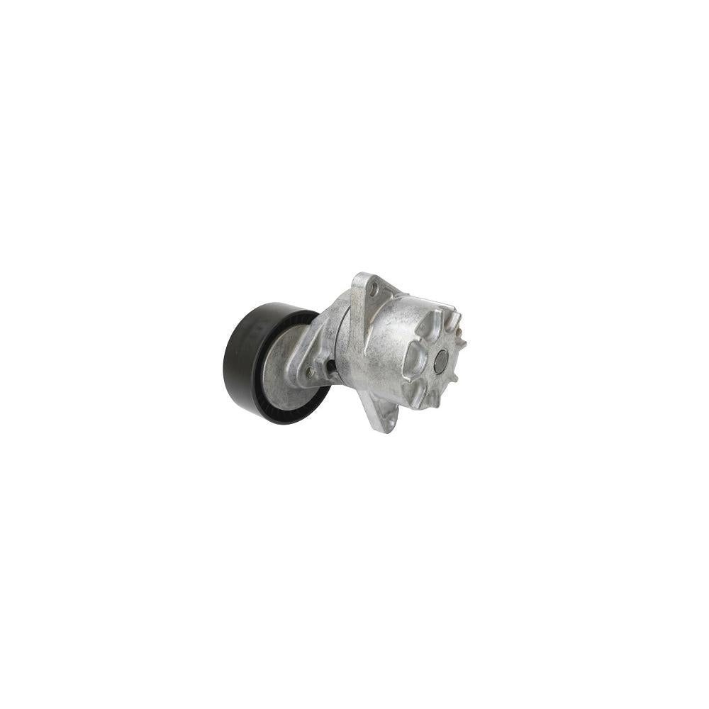 Intinzator curea transmisie Asam Automotive 101282