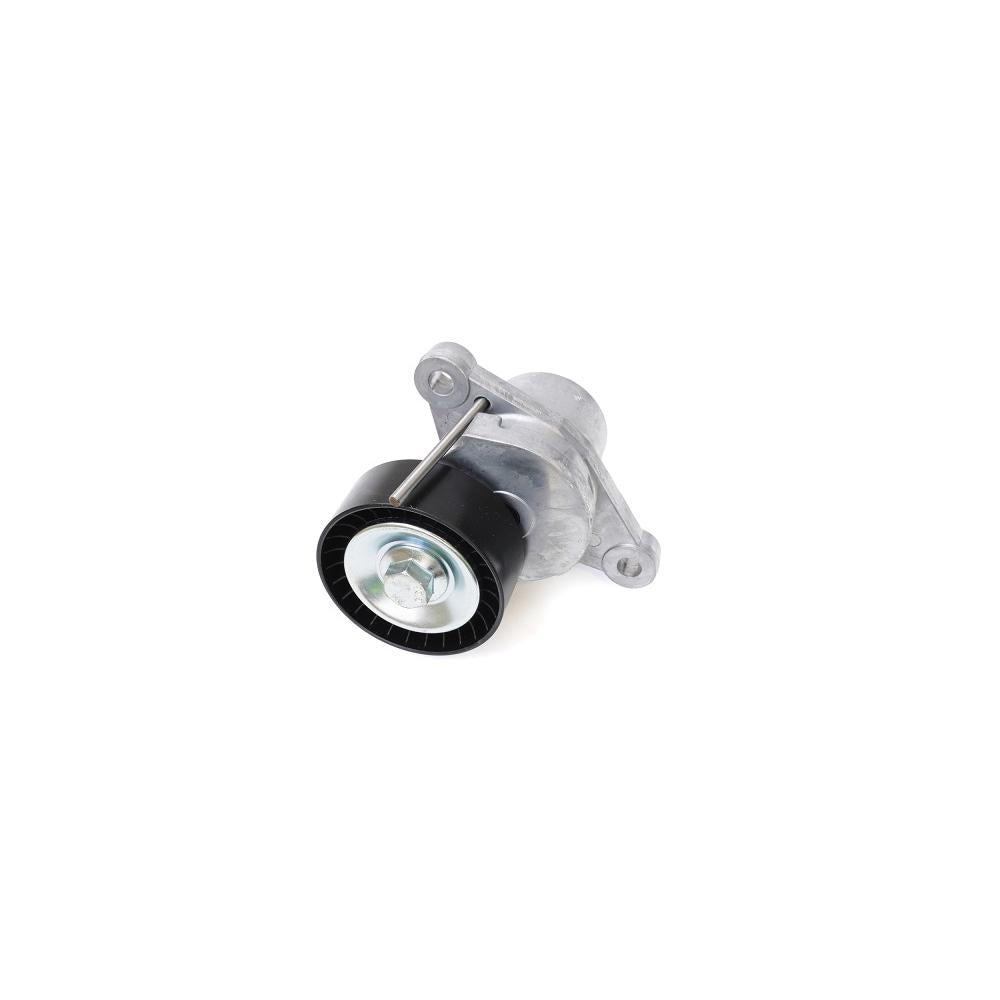 Intinzator curea transmisie Asam Automotive 101306