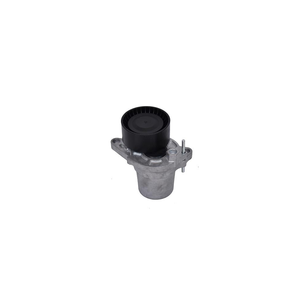 Intinzator curea transmisie Asam Automotive 101309