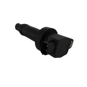 Bobina inductie Asam Automotive 117925