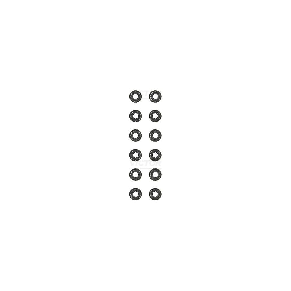 Set simering supapa (12BUC) Victor Reinz 12-31306-08