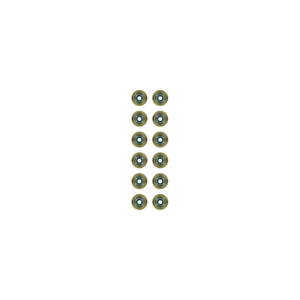 Set garnituri ax supape Victor Reinz 12-37256-01
