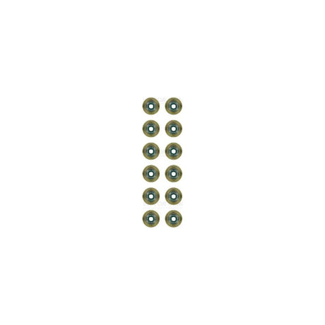 Set garnituri ax supape Victor Reinz 12-37256-01