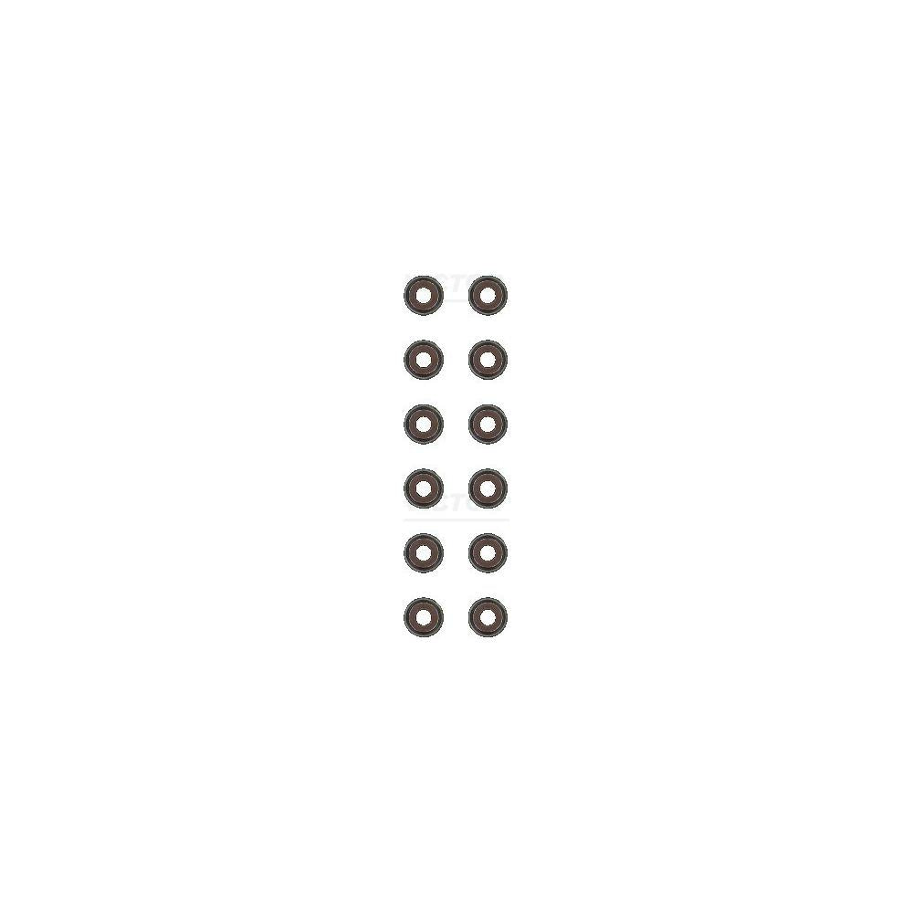Set simering supape (12BC) Victor Reinz 12-53036-02