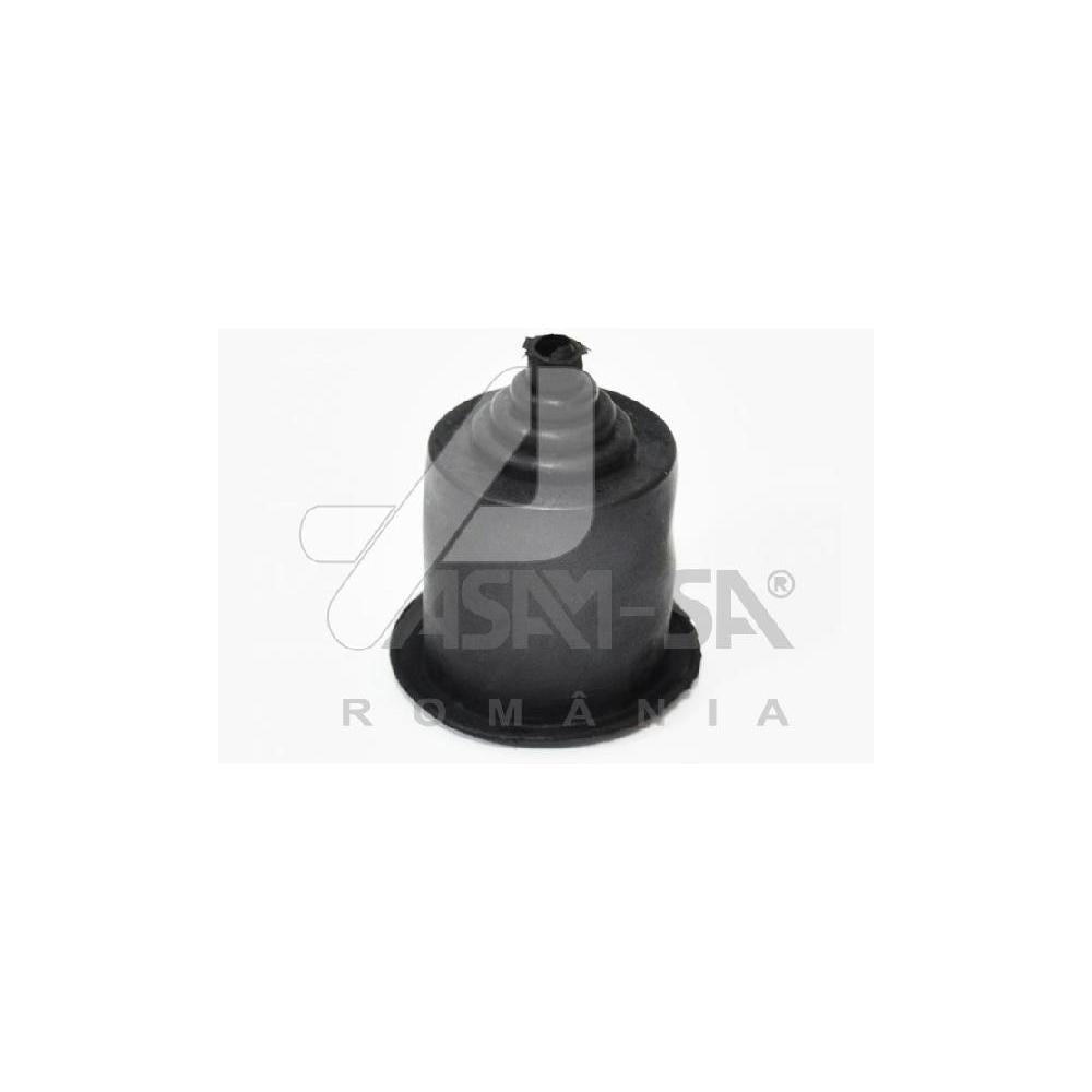 Protectie reglaj far Asam Automotive 30175