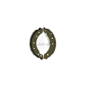Set saboti frana sistem franare trw d: 203MM Asam Automotive 30196