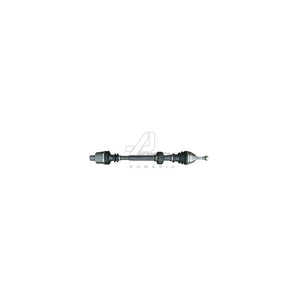 Planetara dr. (fara ABS) Asam Automotive 30211