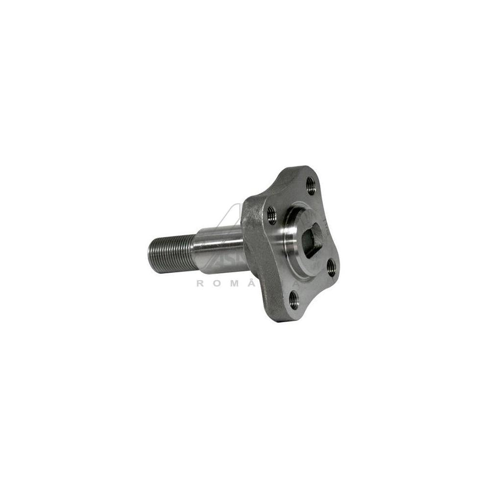 Butuc roata spate Asam Automotive 30247