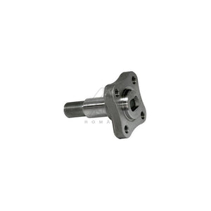 Butuc roata spate Asam Automotive 30247