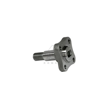 Butuc roata spate Asam Automotive 30247