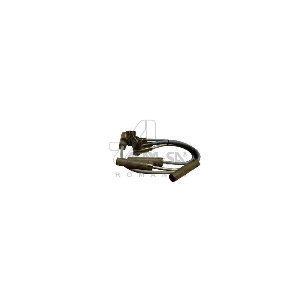 Set fise bujii Asam Automotive 30363