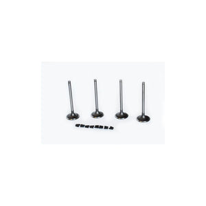 Set supape admisie Asam Automotive 30463
