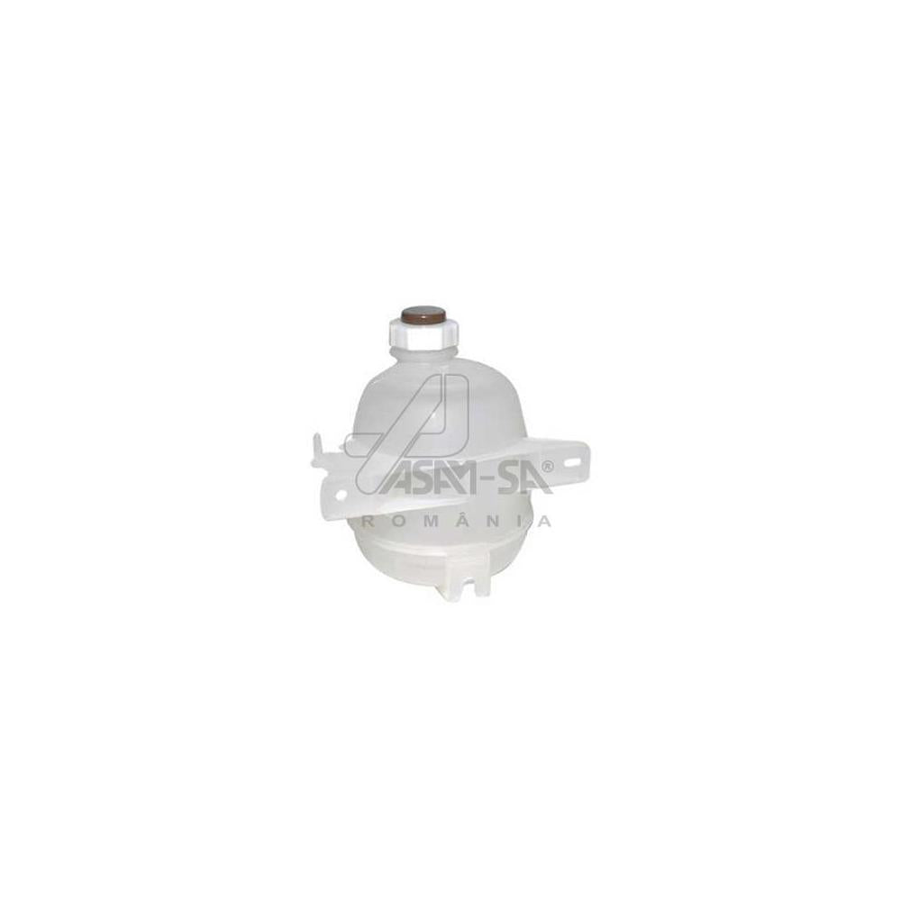 Vas expansiune + capac Asam Automotive 30494