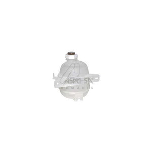 Vas expansiune + capac Asam Automotive 30494