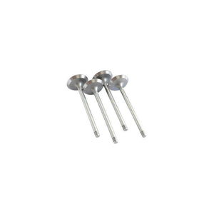 Set supape admisie Asam Automotive 30648