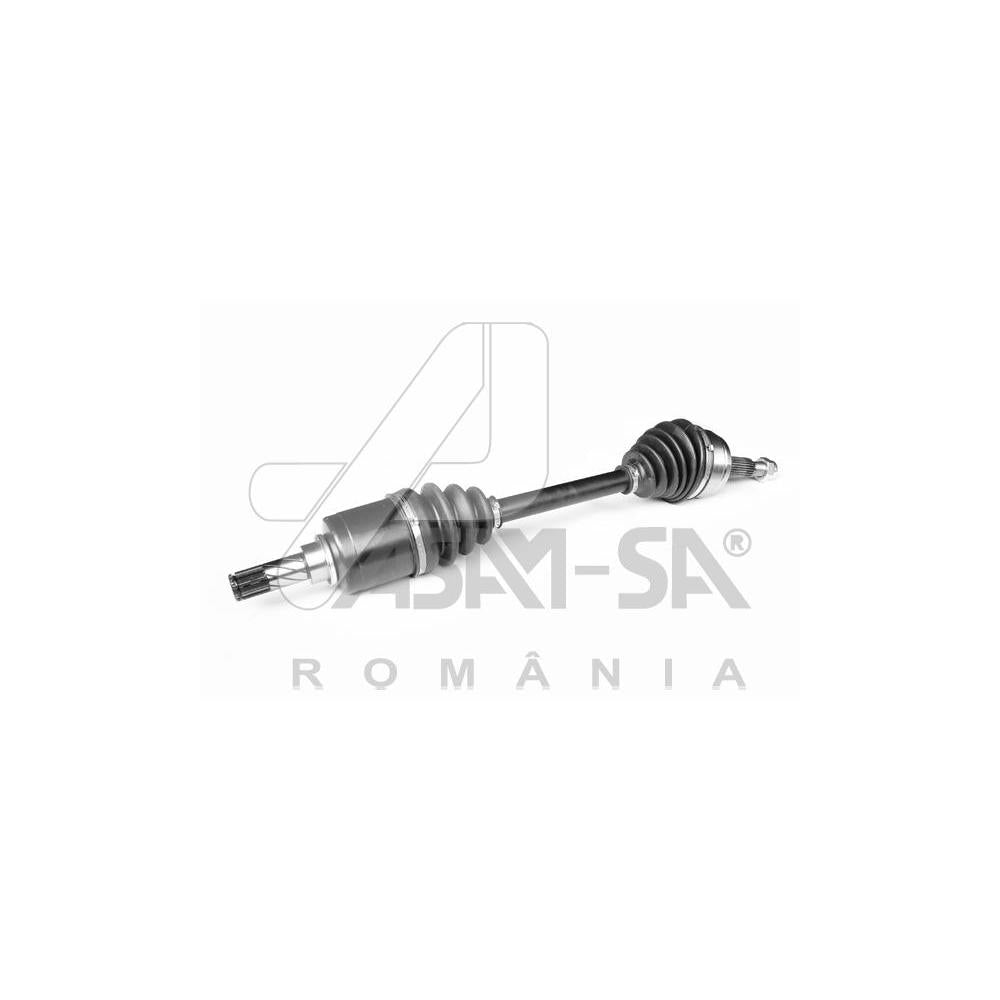 Planetara fata stg. 4X4 Asam Automotive 30971