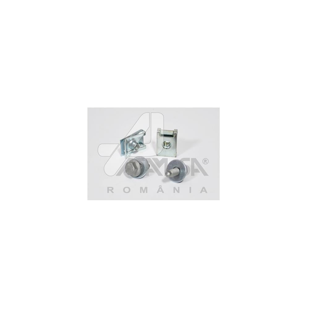 Colectie suruburi prindere aripa (set 10 buc) Asam Automotive 32038