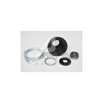 Kit burduf planetara stg. (spre CV) model nou Asam Automotive 32130