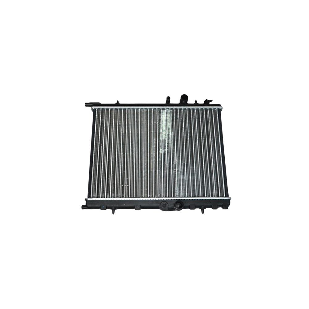 Radiator motor Asam Automotive 32177