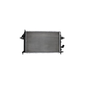 Radiator motor Asam Automotive 32192