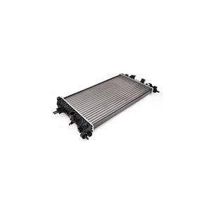 Radiator motor Asam Automotive 32193