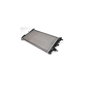 Radiator motor Asam Automotive 32193