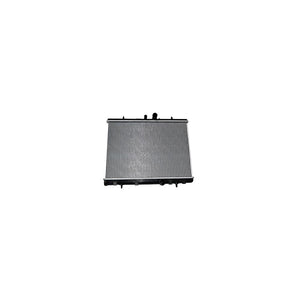 Radiator motor Asam Automotive 32194