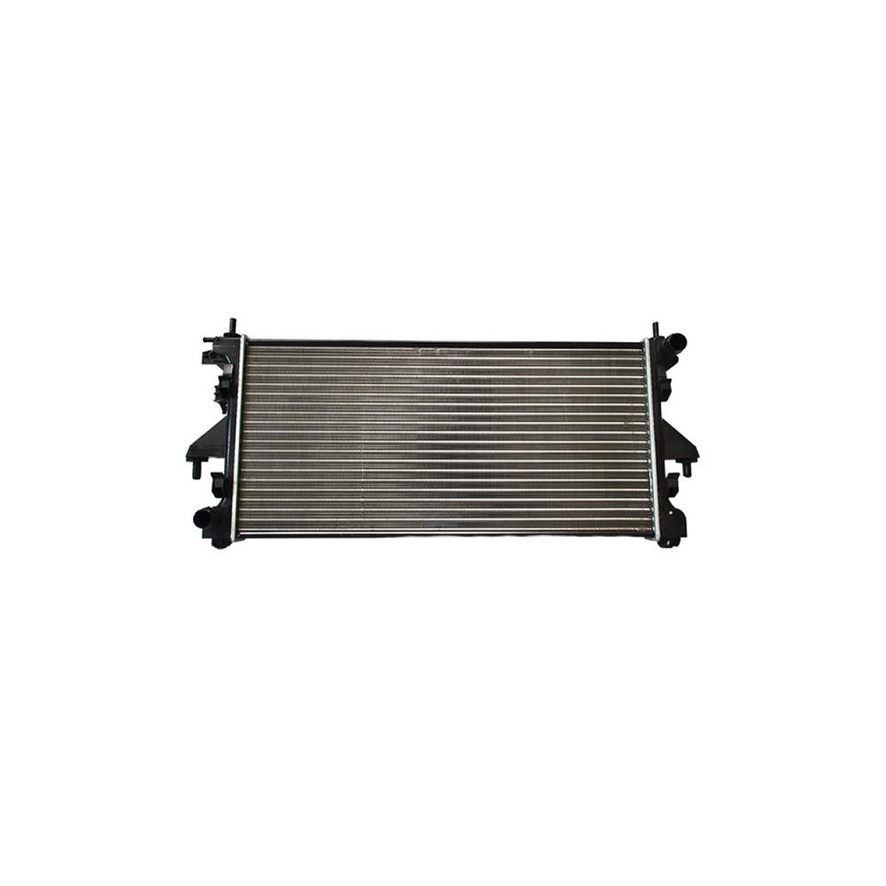 Radiator motor Asam Automotive 32324