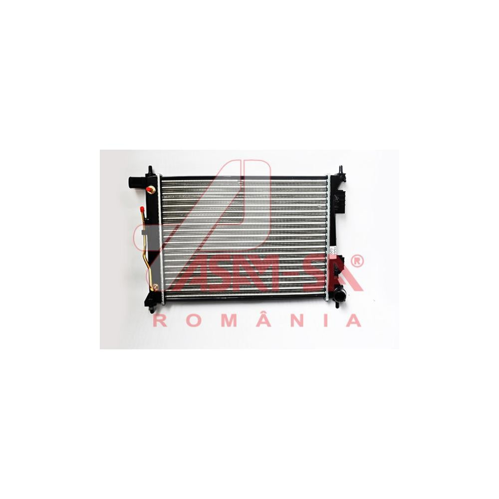 Radiator motor Asam Automotive 32437