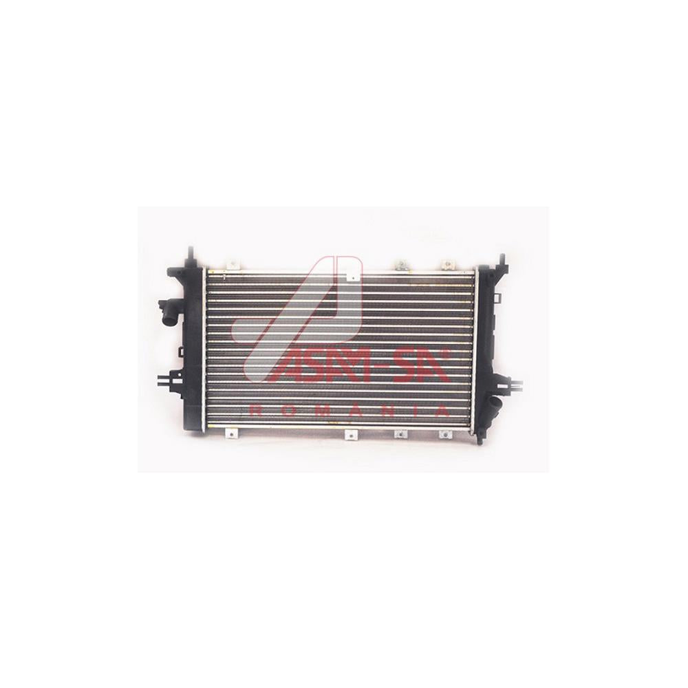 Radiator motor Asam Automotive 32451