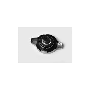 Buson radiator Asam Automotive 33552