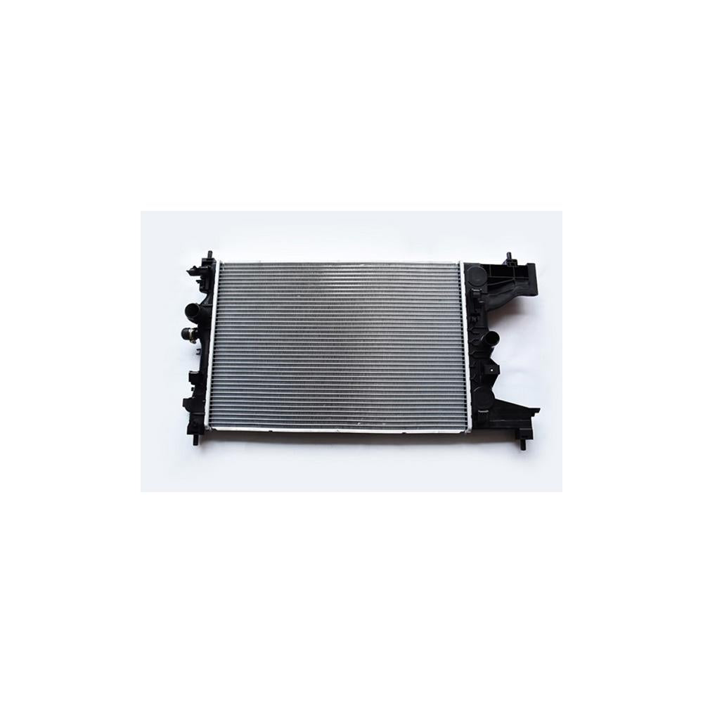 Radiator motor Asam Automotive 34846
