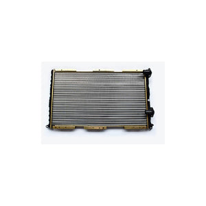 Radiator motor Asam Automotive 34852