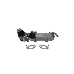 Modul EGR cu racitor gaze Denkai DK33695