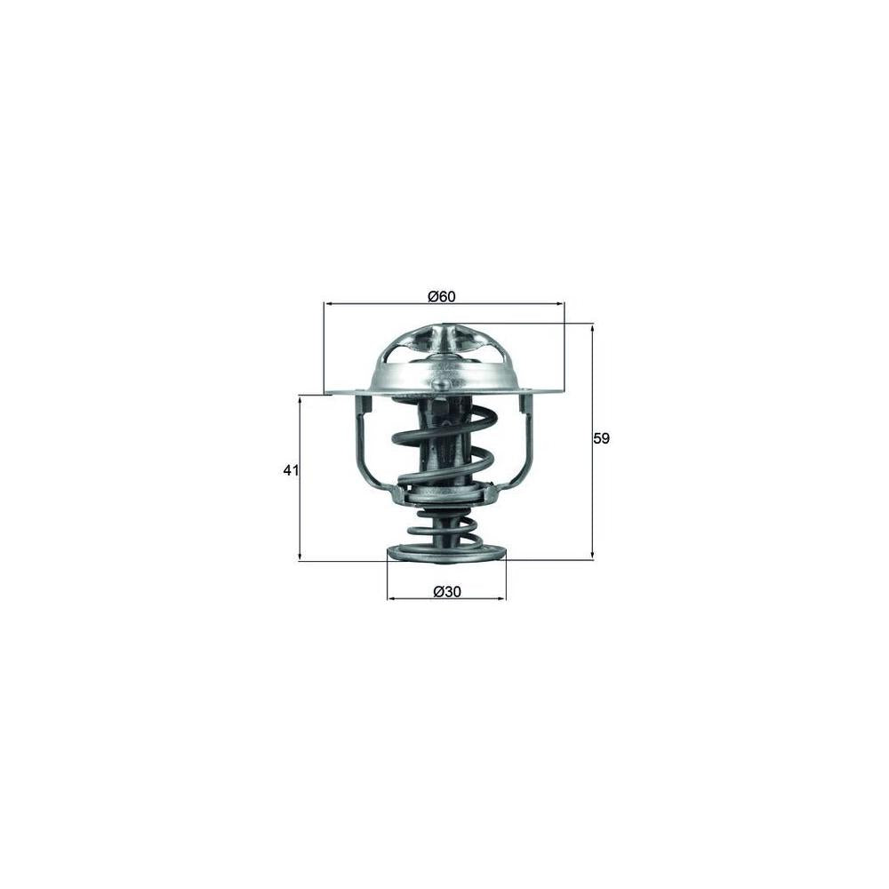 Termostat lichid racire Denkai DK102533