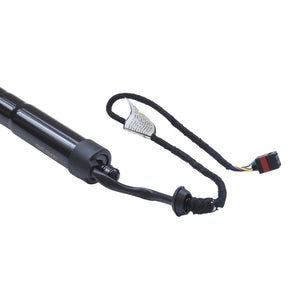 Amortizor portbagaj electric Asam Automotive 100174