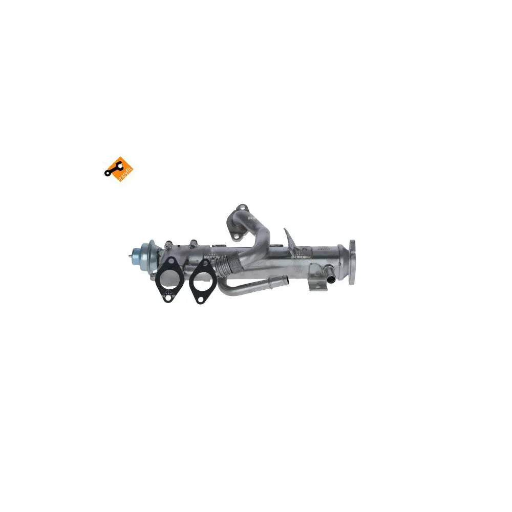 Modul EGR cu racitor gaze NRF 48358
