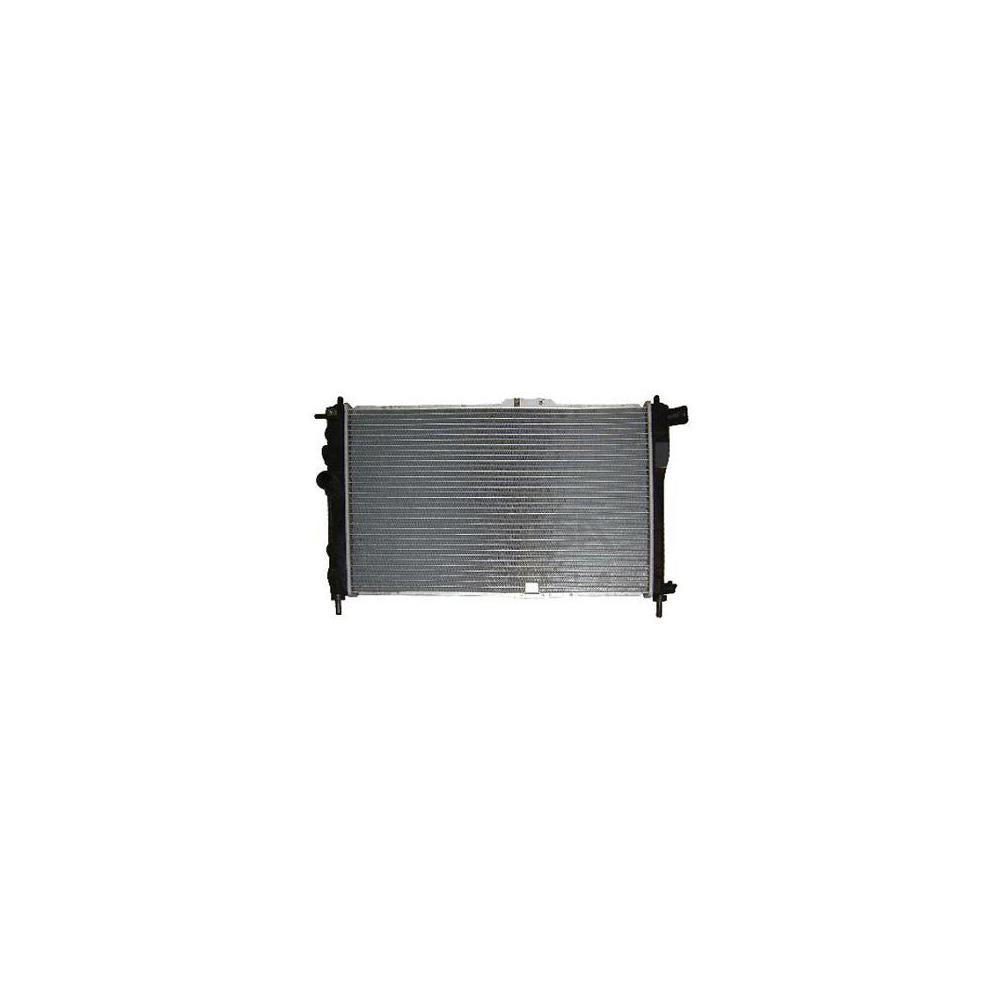 Radiator motor Asam Automotive 50073