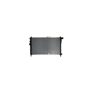Radiator motor Asam Automotive 50073