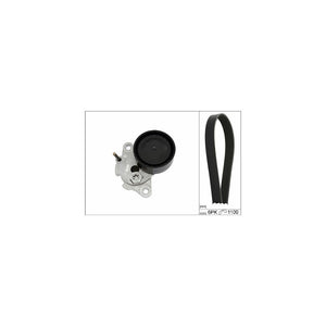 Kit transmisie Schaeffler INA 529 0085 10