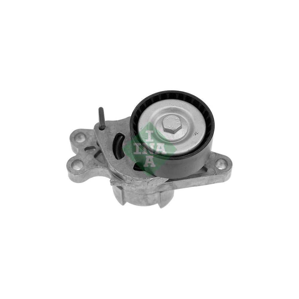 Intinzator curea distributie Schaeffler INA 534 0179 10