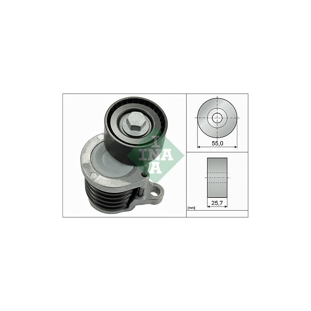 Intinzator curea distributie Schaeffler INA 534 0591 10