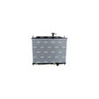 Radiator racire motor NRF 550015