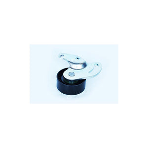 Rola intinzatoare transmisie Asam Automotive 55062