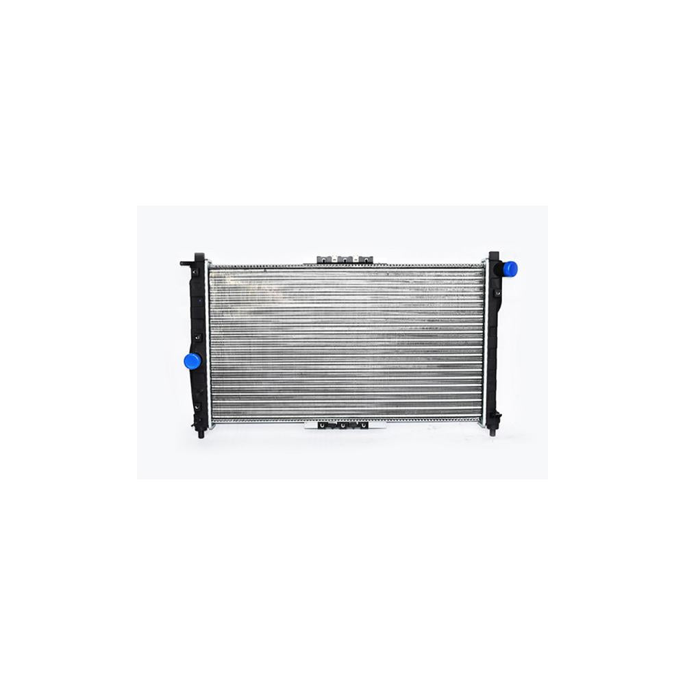 Radiator motor Asam Automotive 55340