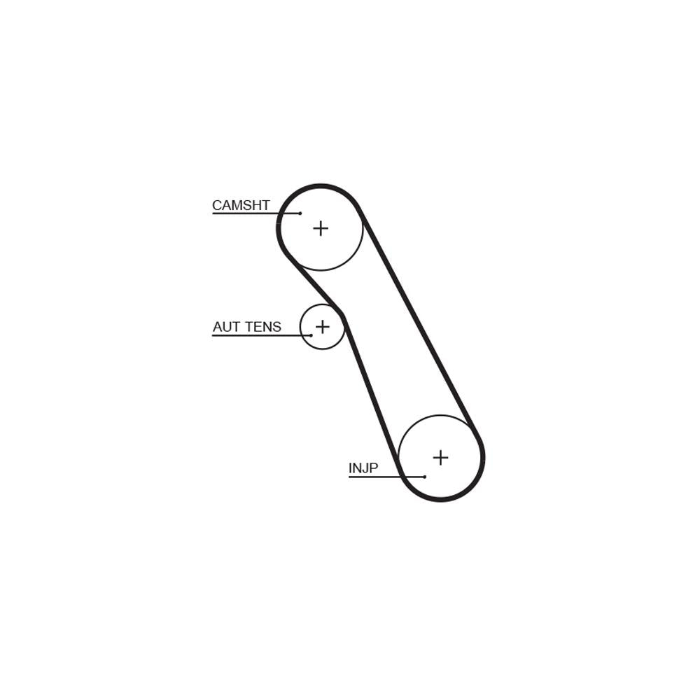 Gates - curea distributie 5541XS
