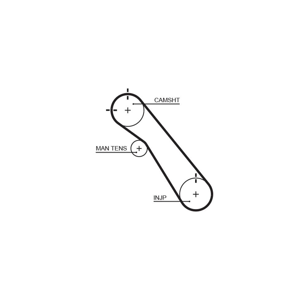 Gates - curea distributie 5548XS