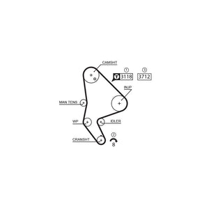 Gates - curea distributie 5558XS